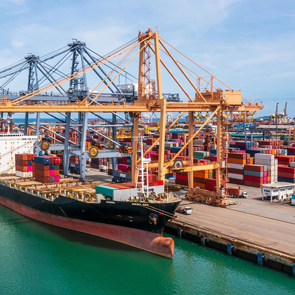Export House India